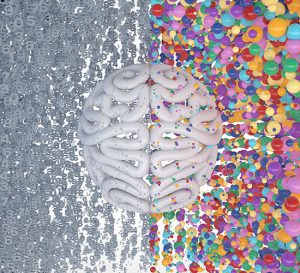 Alzheimer's dementia - Most important brain regions - Neuroinstitute München